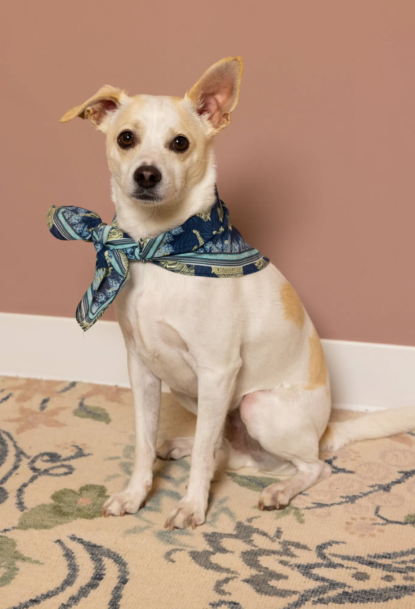 Hot Pet Bandana Women Pet Accessories